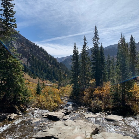 Meet your Posher, Dawn - Picture 2 of 3